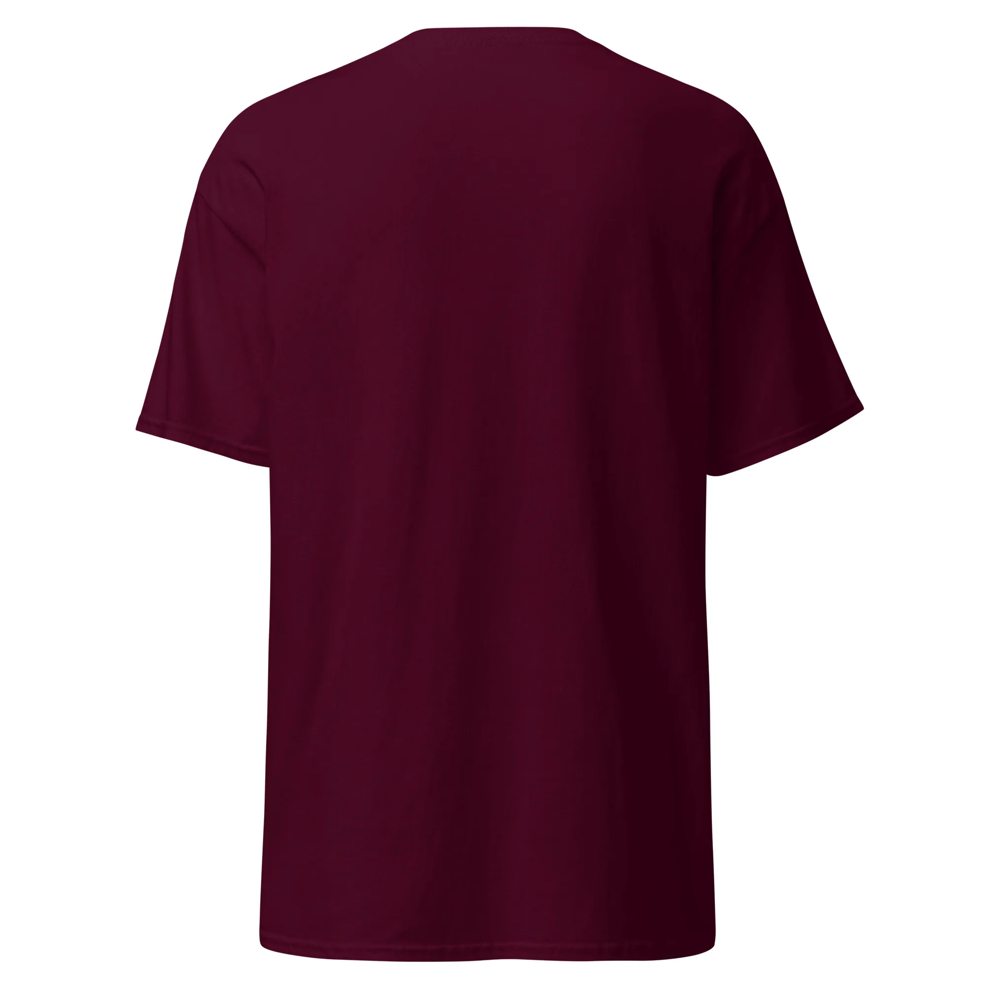 Klassisches Unisex T-Shirt 2 Klassisches Unisex T-Shirt – Bild 2